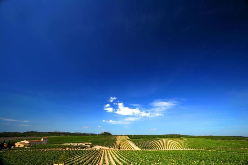 Château L'hospitalet Wine Beach&spa Hotel 5*